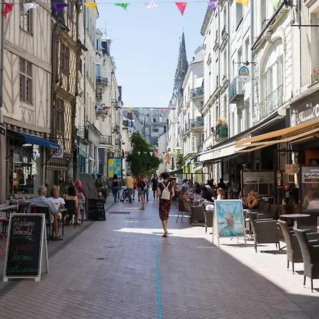 Hyper Centre - Rue St Laud, 2min Ralliement *