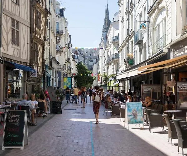 Hyper Centre - Rue St Laud, 2min Ralliement *