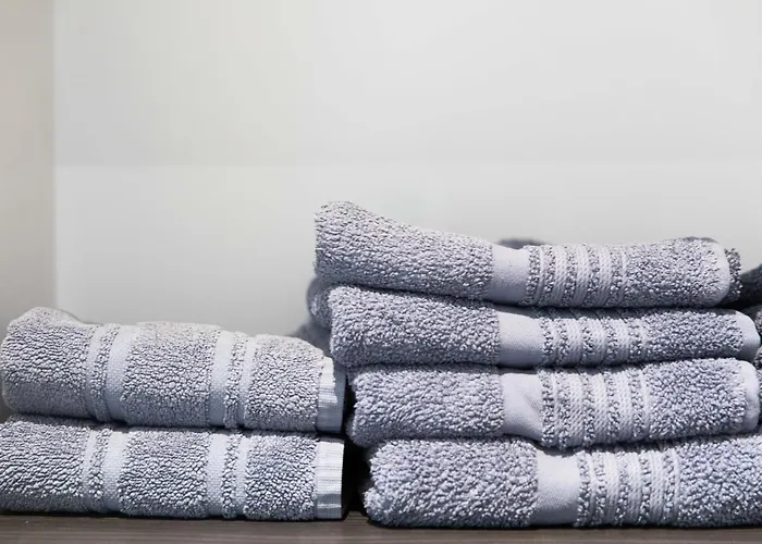 Hyper Centre - Rue St Laud, 2min Ralliement * Angers